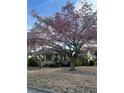 Charming stone home with pink flowering trees and inviting front porch seating at 233 24Th N St, St Petersburg, FL 33713