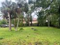 Expansive backyard with lush green grass, mature trees, and tropical foliage at 310 2Nd Nw Ave, Ruskin, FL 33570
