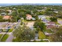 An aerial shot showcasing the neighborhood and surrounding trees and skyline view at 493 Lucerne Ave, Tampa, FL 33606