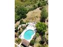 Aerial view of a pristine community pool surrounded by mature trees and ample lounging space at 6231 Bayside Key Dr, Tampa, FL 33615
