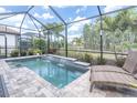 Screened-in pool with waterfall feature and lounge chairs, surrounded by tropical plants at 3166 Francoa Dr, Odessa, FL 33556