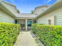 Pathway leading to the house through a lush green privacy hedge at 1628 Lullwater Ln, Lutz, FL 33549