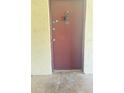 Condo front door with unit number at 3829 S Lake Dr # 215, Tampa, FL 33614