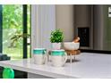 Quartz countertop detail with decorative mugs, plants, and cooking accessories with stainless steel appliances at 616 11Th Nw St, Largo, FL 33770