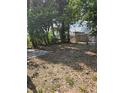 Spacious backyard with mature trees, perfect for landscaping at 1935 W Union St, Tampa, FL 33607