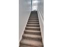 Carpeted staircase with white risers and railing leading to the upper level at 2220 Chianti Pl # 8-0828, Palm Harbor, FL 34683
