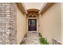 A welcoming front entrance with decorative glass door and brick accents at 6801 Bishops Pointe Way, Riverview, FL 33578