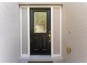 Close-up of the elegant front door with decorative glass and a classic design at 10930 Banyan Wood Way, Riverview, FL 33579