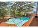 A screened-in pool with clear blue water, surrounded by a deck and lush greenery, offering a private oasis at 19156 Dove Creek Dr, Tampa, FL 33647
