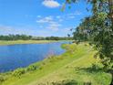 Picturesque backyard view of a serene lake and lush green lawn, perfect for relaxation and recreation at 3776 Maxwell Park Dr, Sun City Center, FL 33573