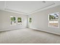 Spacious main bedroom featuring neutral carpet, tray ceiling, and multiple windows for natural light at 4630 Cedar Fog Ct Dr, Valrico, FL 33596
