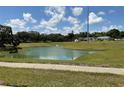 Serene view of a pond surrounded by lush green grass and trees, creating a peaceful environment at 2861 Penridge Dr, Palm Harbor, FL 34684