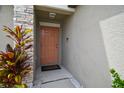 The home's front door is accented with stone details and lush tropical foliage at 13603 Wild Ginger St, Riverview, FL 33579