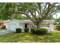 Quaint single-story home with a mature shade tree, one-car garage, lush green landscaping, and red shutters at 2222 Euclid N Cir, Clearwater, FL 33764
