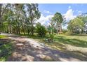 Scenic driveway leading to the property, lined with trees and lush greenery on a sunny day at 4858 Troydale Rd, Tampa, FL 33615