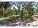 View of the tranquil, tree-covered land with a rock feature accenting the landscape at 4858 Troydale Rd, Tampa, FL 33615