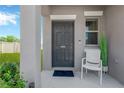 Inviting front door with a charming welcome area, including a chair, plants, and a welcoming entrance mat at 10142 Golden Wonder Ln, Riverview, FL 33578