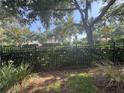 A backyard with a wrought iron fence overlooking some trees and bushes at 10953 Winter Crest Dr, Riverview, FL 33569