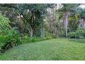 Lush backyard featuring well-maintained lawn, perimeter landscaping and a wooded backdrop at 13038 Royal George Ave, Odessa, FL 33556