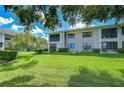 Beautifully landscaped backyard with lush green grass and mature trees, creating a serene outdoor space at 2139 Elm St # 308, Dunedin, FL 34698