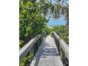 Scenic boardwalk through lush greenery leads to the beach and ocean, offering a tranquil path at 504 67Th Ave # 4, St Pete Beach, FL 33706