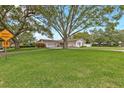 Expansive front yard showcasing a well-maintained lawn and a charming single-story home shaded by mature trees at 1666 Souvenir Dr, Clearwater, FL 33755