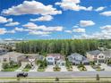 Desirable neighborhood street view featuring manicured lawns and beautiful home exteriors, backing up to mature trees at 1696 Hidden Springs Dr, Trinity, FL 34655