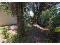 Backyard featuring mature trees, a shed, and plenty of shade at 4607 N 35Th St, Tampa, FL 33610