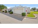 Exterior shot of the garage featuring an American flag and well-maintained landscaping at 11811 Cypress Crest Cir, Tampa, FL 33626