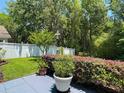 Private backyard featuring a white fence and lush greenery, perfect for outdoor entertaining at 16219 Nottingham Park Way, Tampa, FL 33647