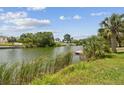 Waterfront backyard and canal include mature landscaping and dock space at 3227 Rose Arbor Dr, Hernando Beach, FL 34607