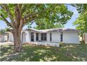Well-maintained single-story home featuring an arched entryway, large tree, and tidy landscaping at 7215 San Moritz Dr, Port Richey, FL 34668