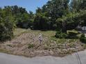 Vacant lot with a 'For Sale' sign surrounded by lush greenery, ideal for building at 8601 N 28Th St, Tampa, FL 33604