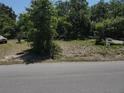 Corner lot for sale, surrounded by mature landscaping, and accessible from the street at 8601 N 28Th St, Tampa, FL 33604