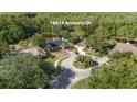 Aerial view of 16014 Amberly Dr home nestled among lush trees and a tranquil pond at 16014 Amberly Dr, Tampa, FL 33647