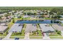 Wide aerial shot of a residential area with a long lake and many houses at 5049 Rushbrook Rd, Land O Lakes, FL 34638