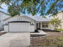 Charming single-story home featuring a well-maintained lawn and inviting front entrance at 10431 Frog Pond Dr, Riverview, FL 33569