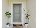 Inviting front entrance with a stylish door, a decorative rug, and potted plants at 27050 Anthony Ave, Brooksville, FL 34602