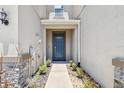 Charming entrance with a blue front door, stone accents, and manicured landscaping at 6745 Citrus Creek Ln, Tampa, FL 33625