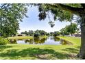 Scenic view of a tranquil pond surrounded by lush greenery, trees and well-manicured lawns at 12846 Tallowood Dr, Riverview, FL 33569