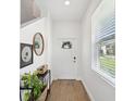 Bright foyer featuring wood floors, neutral paint, and modern decorations and furniture at 17729 Nectar Flume Dr, Land O Lakes, FL 34638