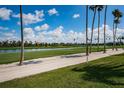 Scenic golf course view with lush green grass, sandy areas, tall palm trees and a blue sky at 6151 Bahia Del Mar Blvd # 126, St Petersburg, FL 33715