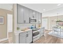 Modern kitchen with gray cabinets, stainless steel appliances, and a view into the dining area at 7208 S Juanita St, Tampa, FL 33616