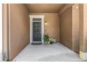 Inviting front porch with a black door, potted plants, and an outdoor light fixture at 8007 Bally Money Rd, Tampa, FL 33610