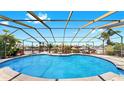Beautiful screened-in pool with canal views and lush tropical landscaping at 916 Sago Palm Way, Apollo Beach, FL 33572