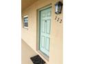 Close-up of the unit front door with a small window and light fixture at 12300 Park Blvd # 222, Seminole, FL 33772