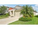 An exterior shot showcasing a well-maintained home, with a lush green lawn and mature palm trees at 12830 Bent Twig Dr, Riverview, FL 33579