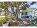 Charming home exterior featuring mature landscaping, lovely patio area, and a welcoming facade at 1701 66Th N Ave, St Petersburg, FL 33702