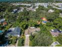 An aerial view of a single Gathering home surrounded by lush greenery and mature trees at 209 S Greenfield Ave, Temple Terrace, FL 33617
