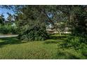 A spacious front yard featuring green lawn, mature trees, and lush tropical foliage enhancing the property's curb appeal at 209 S Greenfield Ave, Temple Terrace, FL 33617